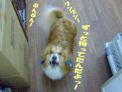 お帰り！.jpg