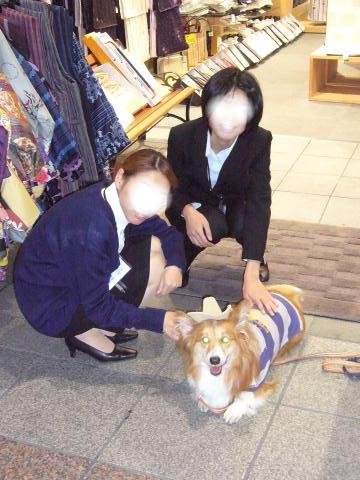 上川端商店街1.jpg