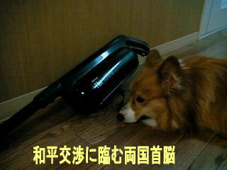 3.25首脳会談.jpg