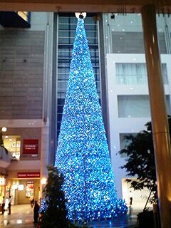 071106_1646~0002.jpg