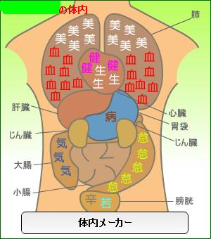 体内メーカー.JPG