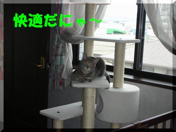 快適.jpg