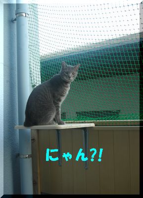 桃華お食い初め 007.jpg