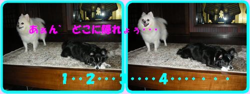 DSCN2548.jpg