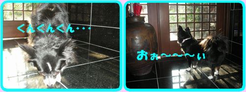 DSCN2535.jpg