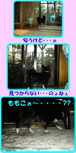 DSCN2562.jpg