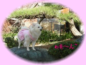 DSCN5018.jpg