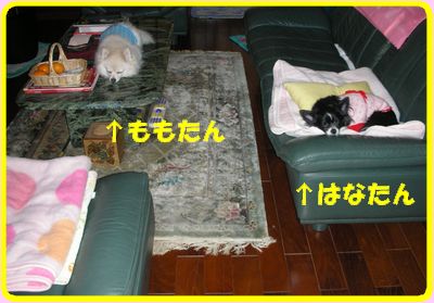 DSCN3107.jpg