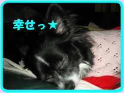 DSCN3117.jpg