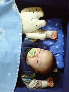 ふもふもさんと寝る