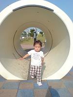picture_241.JPG