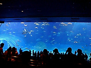 20061004124104.jpg