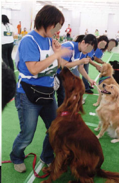 K9西日本大会ハイチーズ006.jpg