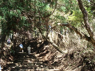 最後の登り