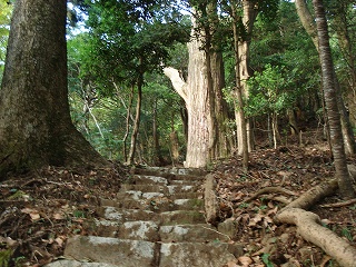 神木への参道