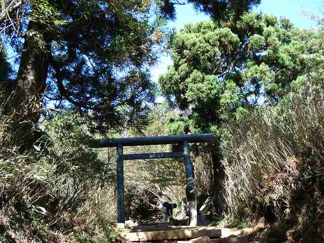 鳥居が見えた