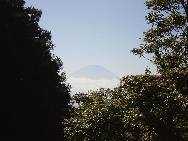 富士山もみえました