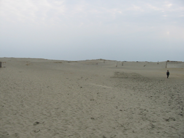 砂丘