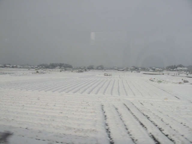 琵琶湖線での雪景色