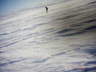 樽前山東山北斜面
