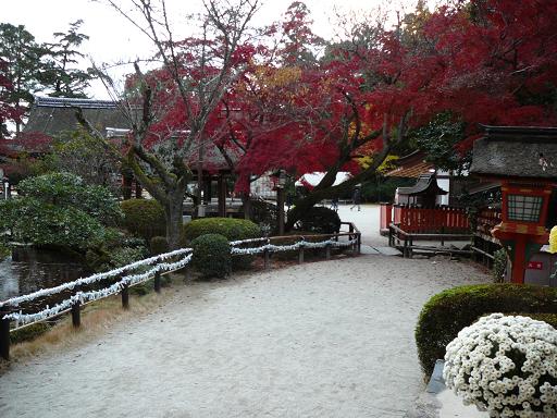 kamigamo_shrine.JPG