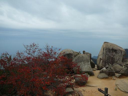 miyajima4.JPG