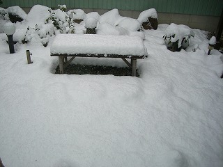 「癒し工房」のお庭