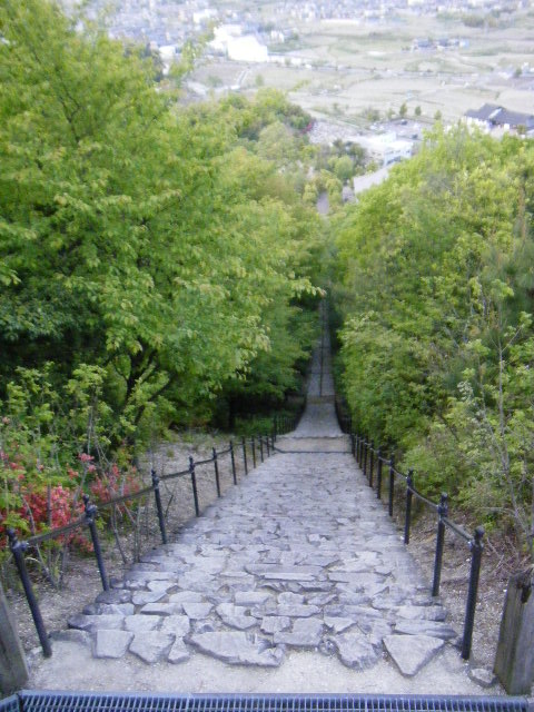 DSCF5269.JPG