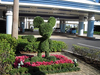 DSCN2279.jpg