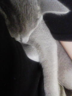 今日もべったり