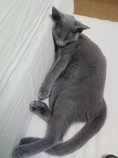 ココも気持ちいい～～