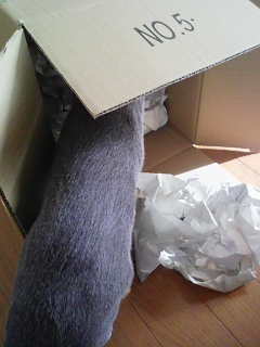 あぁ倒れちゃったぁ