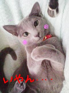 あら美味しそう☆