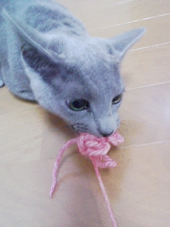 コレはアタシのよ?!