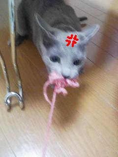 離しなさいよーーーーっ!!