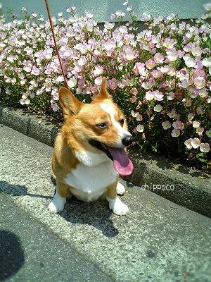 画像 256.jpg