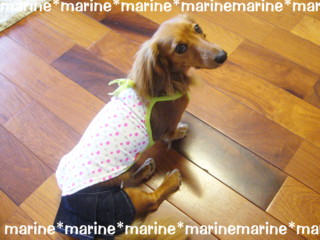 marine