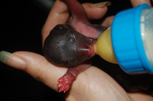 ニューフェイス 016.jpg