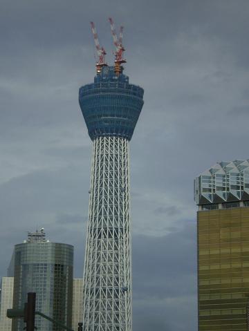 植木市　浅草 009.jpg