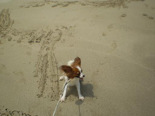 伊豆旅行　８月１８日～８月２５日 008.jpg