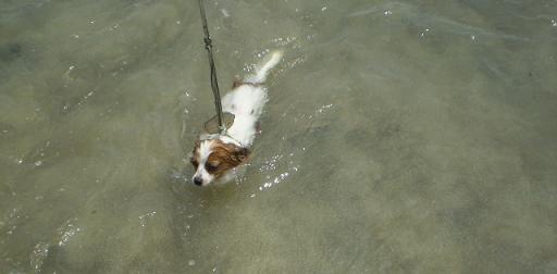 伊豆旅行　８月１８日～８月２５日 012.jpg