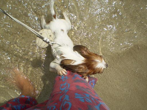 伊豆旅行　８月１８日～８月２５日 017.jpg