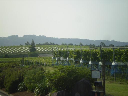 伊豆旅行　８月１８日～８月２５日 037.jpg