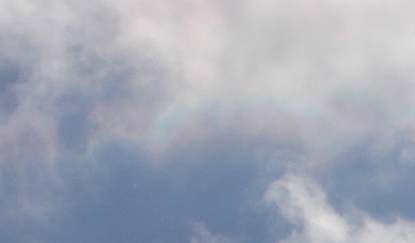 20120108風車の道　彩雲