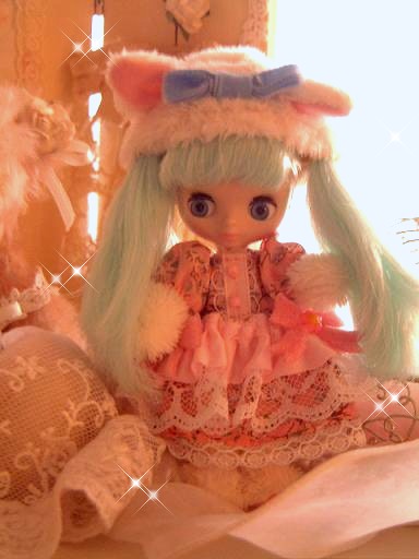 puchi1