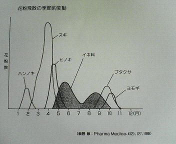 花粉飛散時期の季節変動.jpg