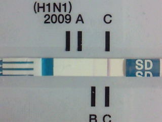 インフルエンザ抗原B(+)