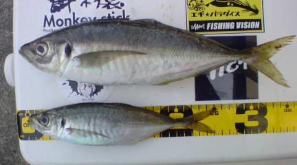 20100314100519.jpg