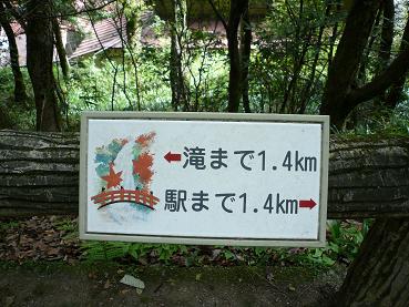 P1000060.JPG