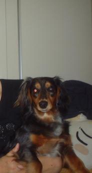 ばぁばに抱っこされる。